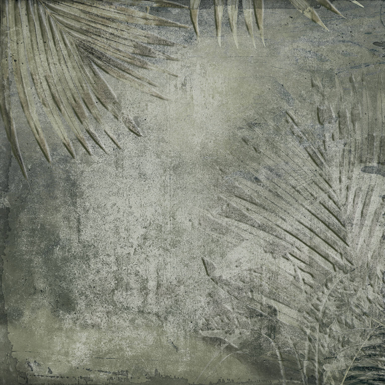 AMAZONIA 25X25