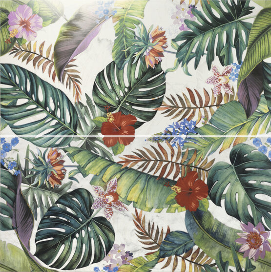 DECOR SAUVAGE 60X120