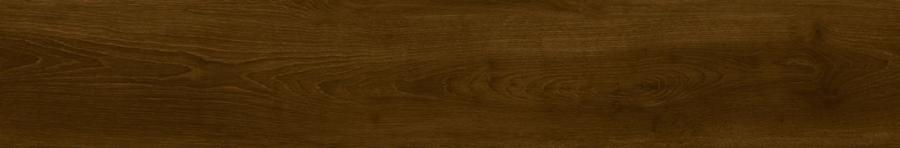 HELSINKI ENCINA 20X120