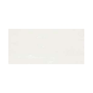 CANVAS BIANCO 30X60