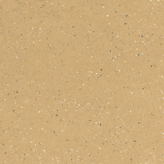 COCCI SENAPE 20X20