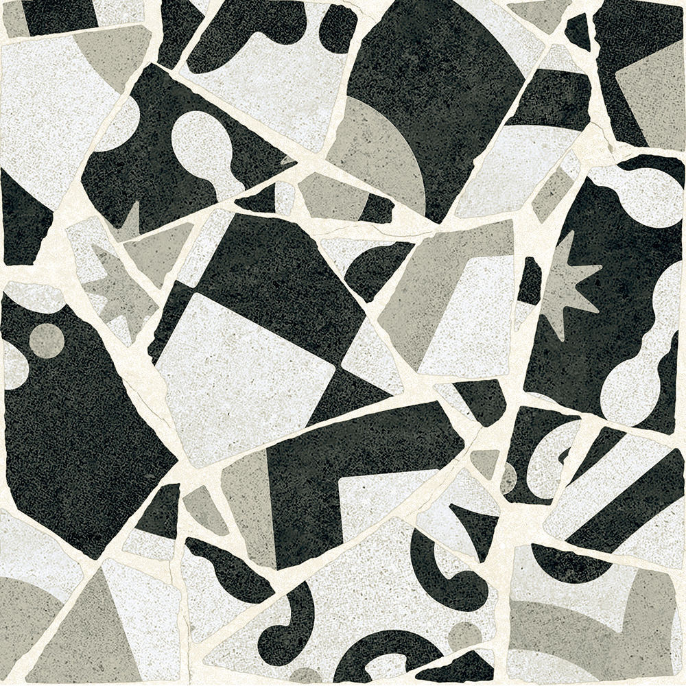 COCCI B & W 20X20