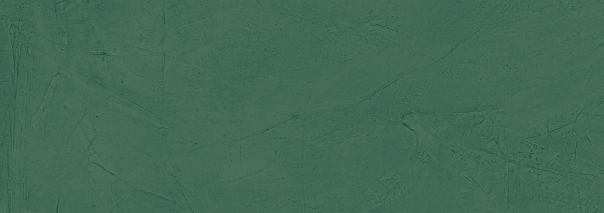 BRUSH BOSCO 33.3X100