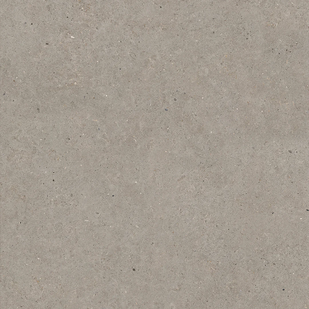 SOMPORT GREY