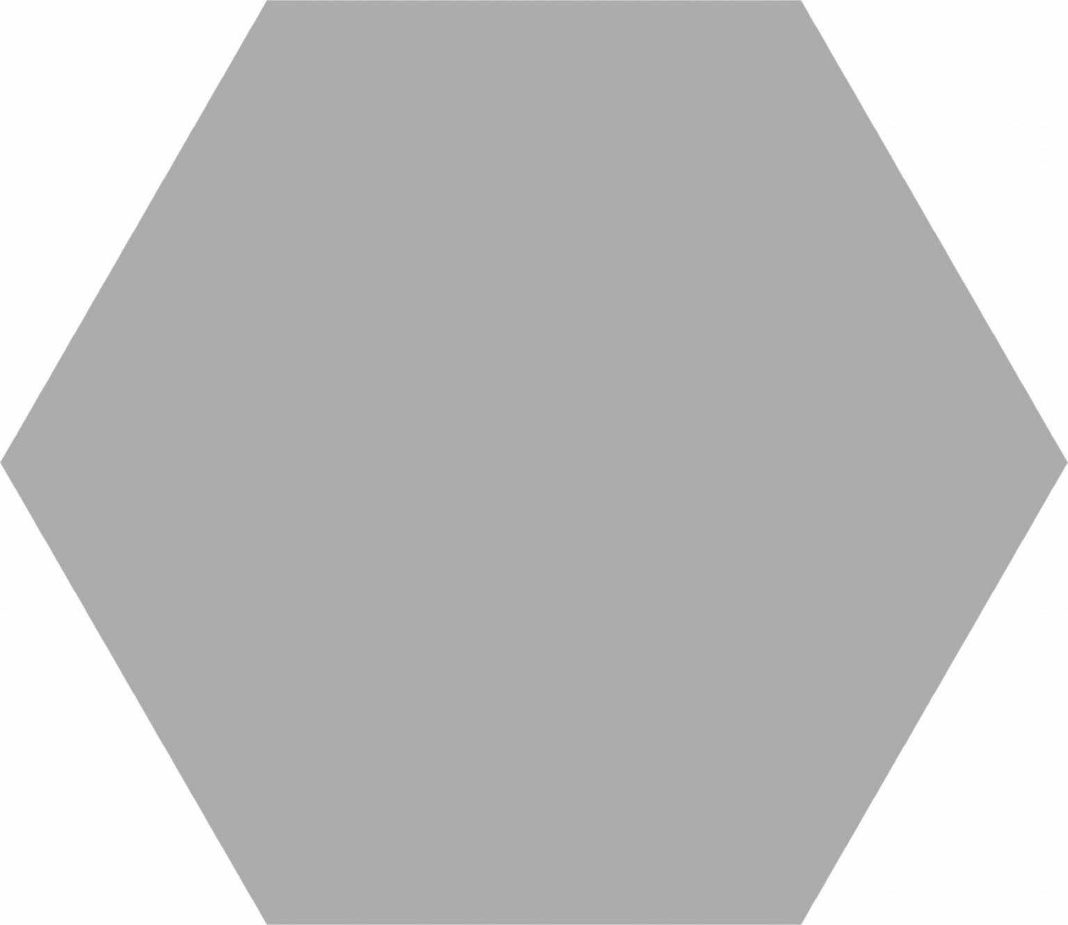 HEX BASIC SYLVER 22X25