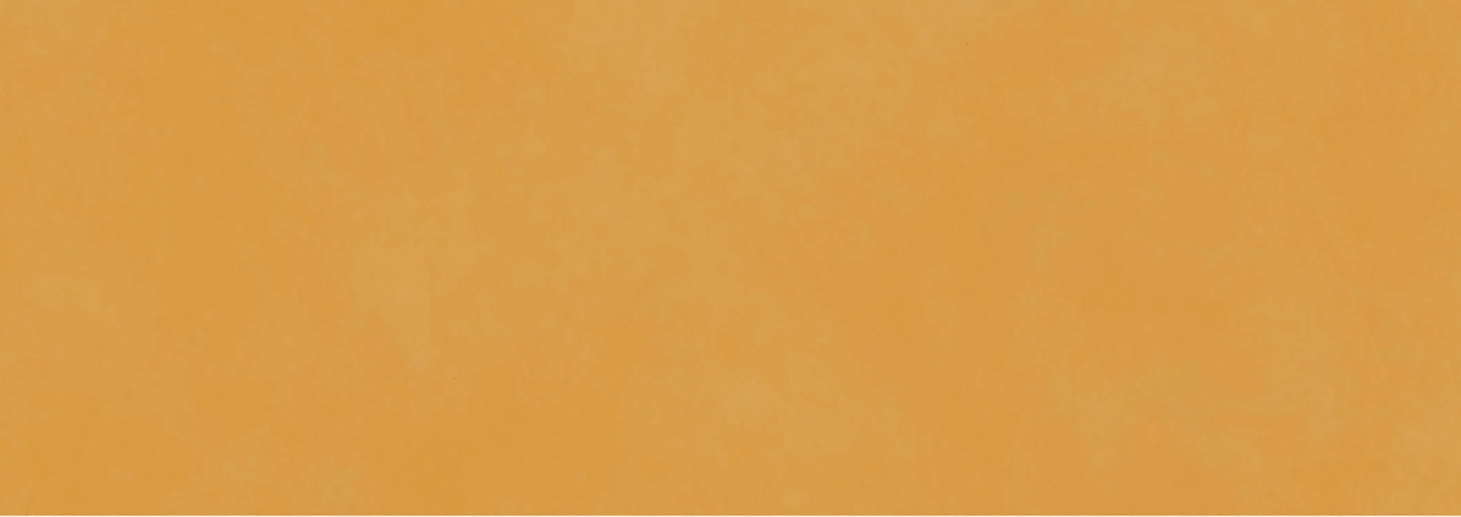 BRUSH CHAMEAU 33.3X100