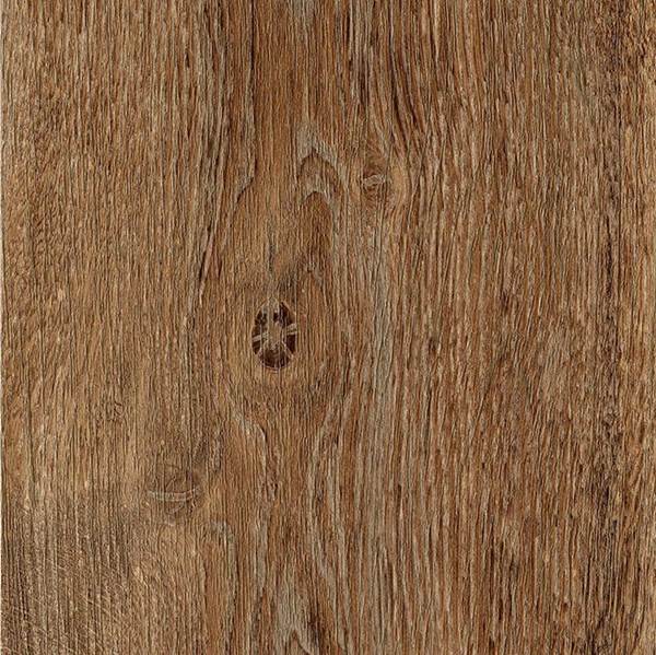 ZOI 20X120