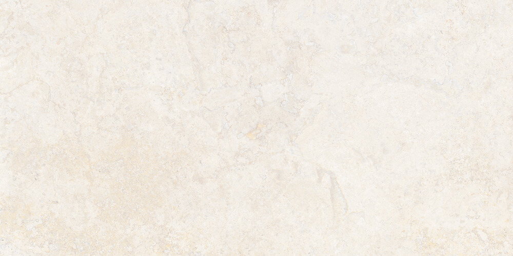 DENVER BONE 60X120