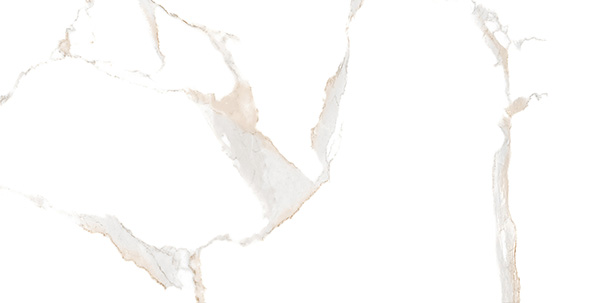 DOMUS BIANCO 60X120